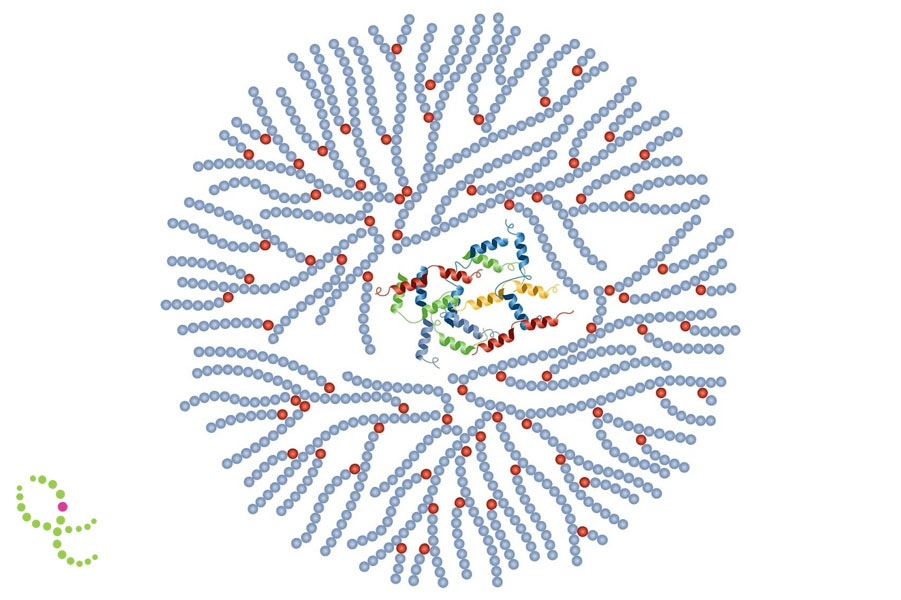 Glicogenoses