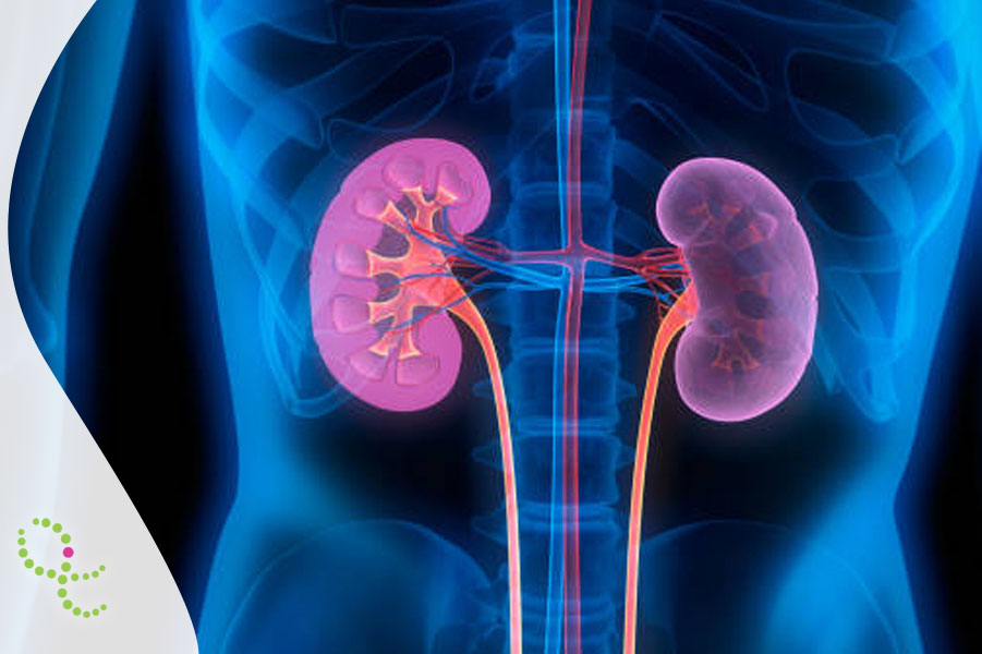 Amiloidose hereditária por transtirretina (ATTRv)